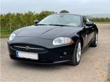 Jaguar XK 3.5L V8 Coupé - Liebhaber-Fahrzeug - Jaguar XK: 3.5