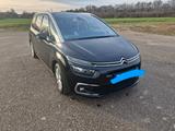 Citroën C4 SpaceTourer PureTech 130 .. - schwarze Citroën C4 SpaceTourer