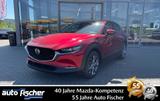 Mazda CX-30 2.5 (140PS) Autom. Takumi BLOP Sitzheizung - Mazda CX-30 mit Hybrid-Antrieb: Takumi