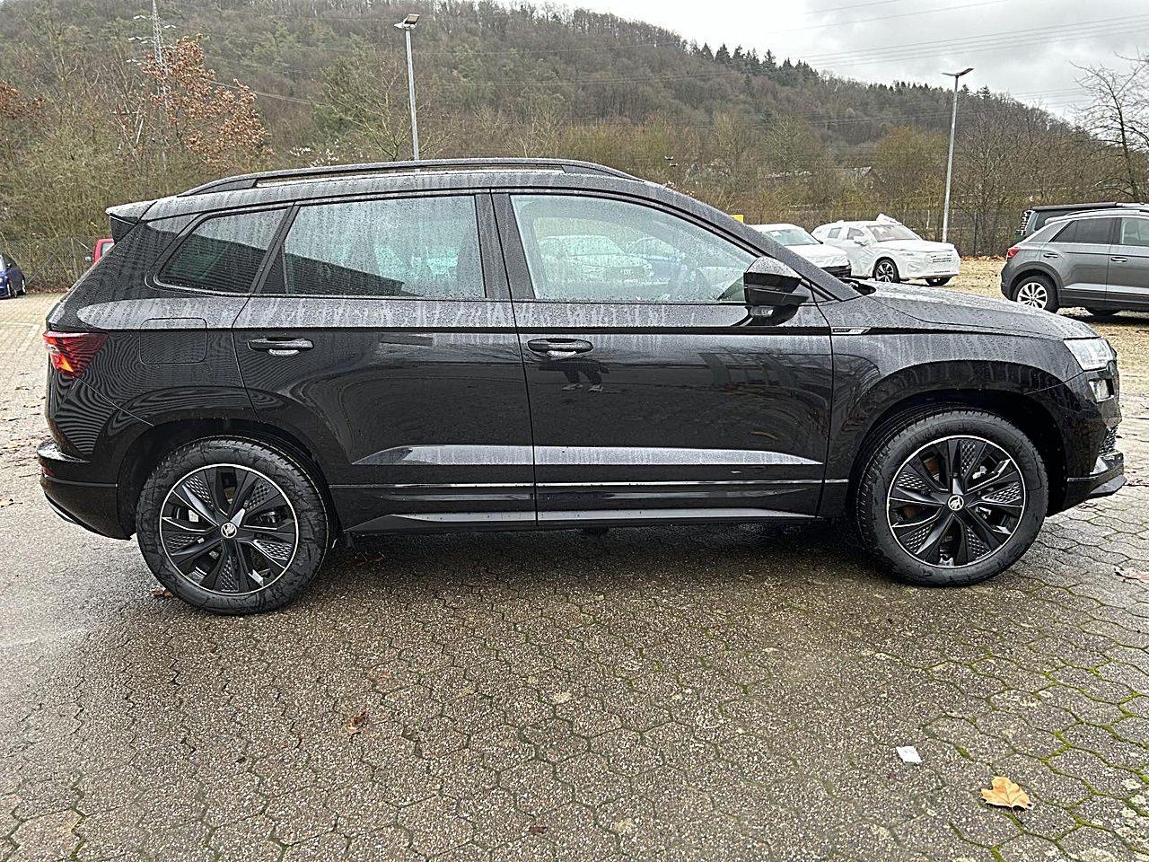 Fahrzeugabbildung SKODA Karoq Sportline 2.0 TSI DSG 4x4 Navi ACC LED