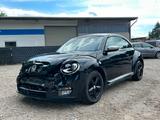 Volkswagen Beetle Lim. 1.4 TSI Fender Edition Sitzheizung - VW Beetle Unfallwagen