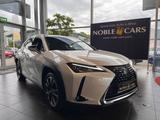 Lexus UX 250 h Style AHK LED SHZ CARPLAY RFK - Lexus aus 2021