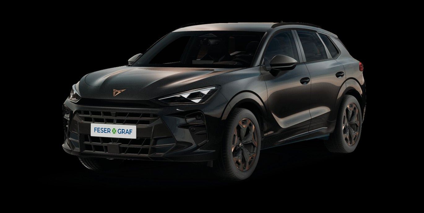 Cupra Terramar - Bild 1