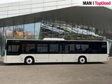 MAN LION'S CITY / A21 Intarder Klima Luftfeder ZV - MAN Reisebus Lion
