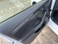 Skoda Kamiq - Vorschau Bild 15