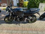 Triumph Speed Triple 955i - Angebote