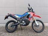 Honda CRF 300 LRAS  RALLY **JUNGE GEBRAUCHTE** - HONDA CRF 300 L