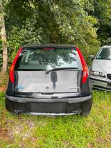 Fiat Punto - Fiat Punto Gebrauchtwagen in München