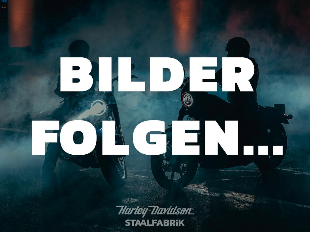 Harley-Davidson XL 883 N IRON SOFORT VERFÜGBAR