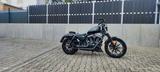 Harley-Davidson IRON 883  - HARLEY-DAVIDSON IRON 883
