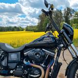 Harley-Davidson Dyna Street Bob FXDB 103 CUI - HARLEY-DAVIDSON STREET BOB