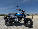 Honda Monkey 125 Bj 2022 770 KM orig. Akrapovic Auspuf - Offers matching your search criteria