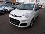 Fiat Panda - Fiat Panda Gebrauchtwagen in Berlin