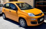 Fiat Panda 1.0 FireFly 70 CV Hybrid - Fiat Panda: Fire