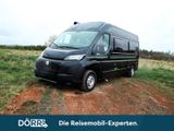 Chausson Van First Line V594L Dörr Black-Edition exklusiv - Offers matching your search criteria