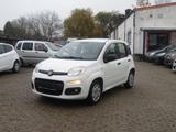 Fiat Panda Pop - gebrauchte Fiat Panda aus dem Jahr 2014