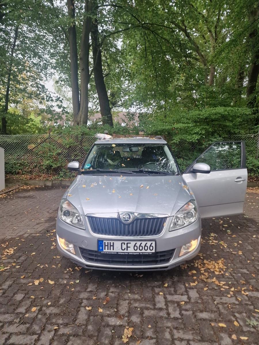 Skoda Fabia 2014 — photo 5