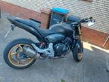 Honda CB 600 F Hornet - HONDA HORNET 600