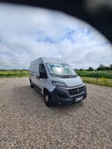 Fiat Ducato 2020, Hochr.Kasten L2H2, 1.Hand, 52100 km - Fiat Ducato: 2.5