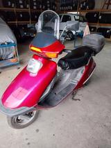 Honda Spacy 125 Roller - HONDA SPACY 125