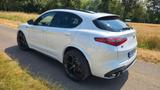 Alfa Romeo Stelvio 2.9 V6 Bi-T. 375kW Quadrifoglio AT8-... - Alfa Romeo: Quadrifoglio
