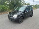 Fiat Panda 1.2 Natural Power Klima 8x bereift - Fiat Panda mit CNG-Antrieb