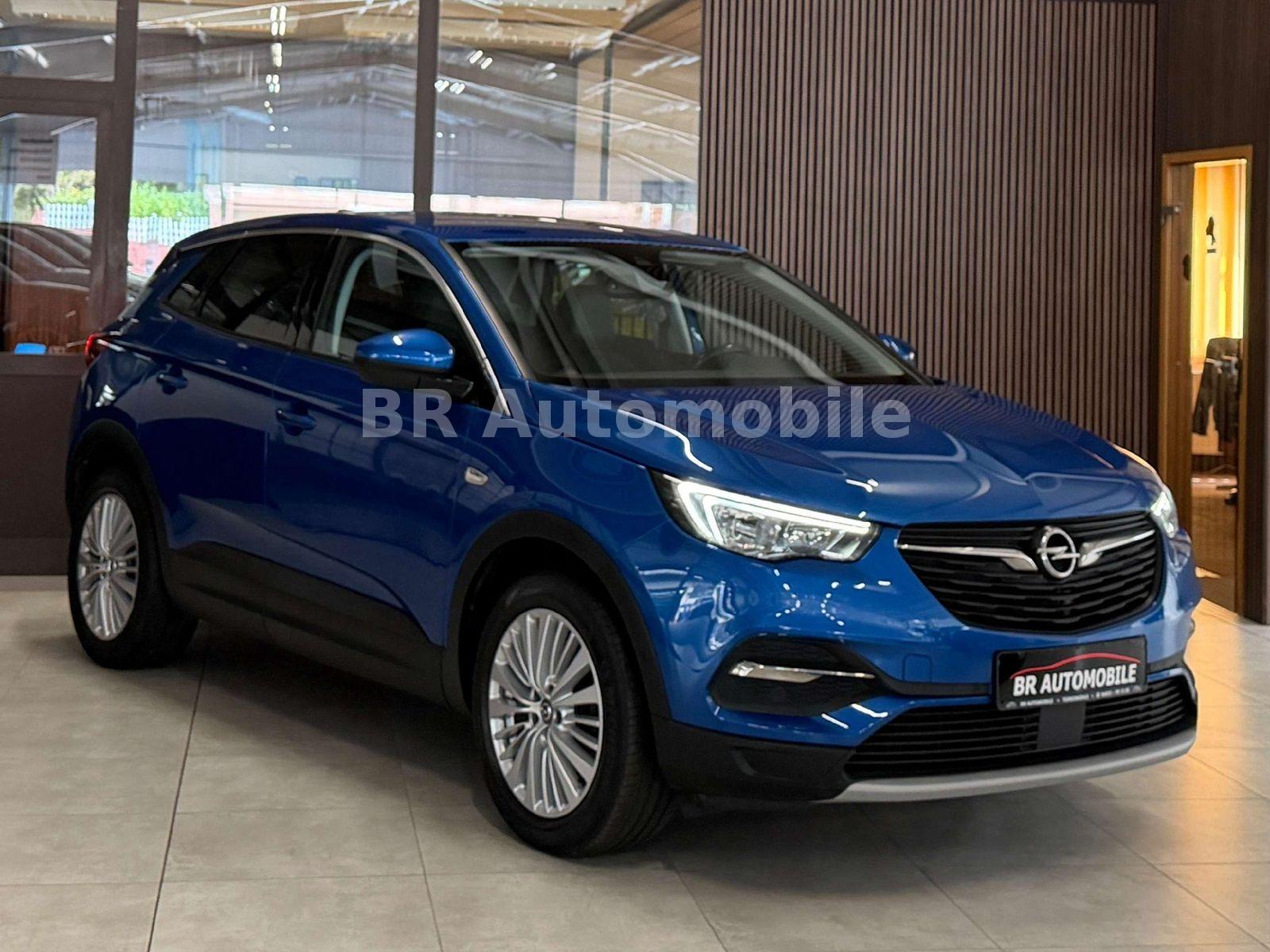Opel Grandland X Dynamic*1.Hand*AHK*Kamera*SHZ*LHZ