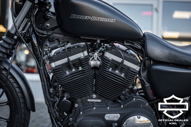 Fahrzeugabbildung Harley-Davidson XL883N SPORTSTER IRON - HEIZGRIFFE - Wartung neu