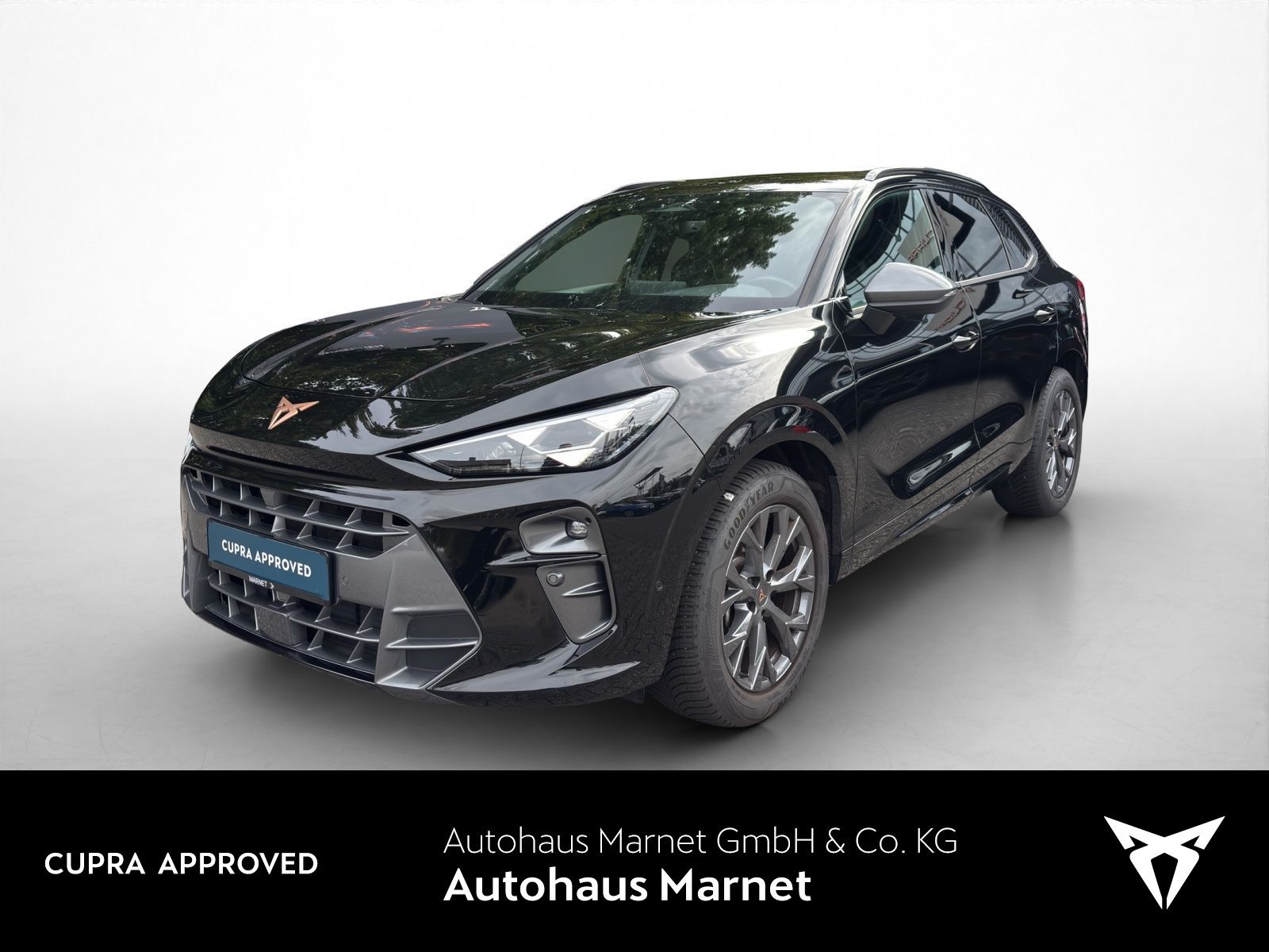 Cupra Terramar 2.0 TSI 4Drive Navi Matrix Kamera El.H foto 1