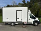 Peugeot Boxer Camper Van Koffer Ausbau mit Truma - Wohnkabine