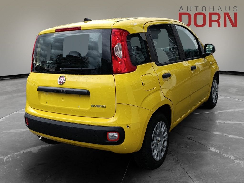Fiat Panda - Bild 3