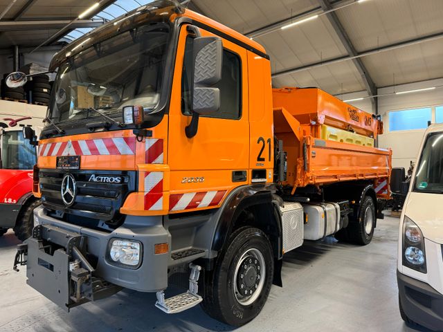 Mercedes-Benz Actros 2036 4x4 DautelWechselsystem Winterdienst