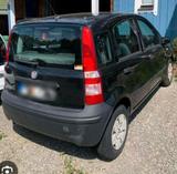 Fiat fiat panda 67 000 km!!! - Fiat Panda Gebrauchtwagen in Wuppertal