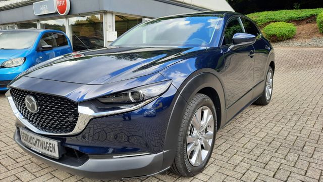 Mazda CX-30 AUTOMATIK/NAVI/ HU+AU+INSPEKTION NEU