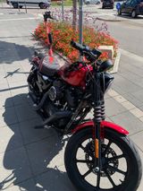 Harley-Davidson Sportster Iron 1200XL Tausch gegen Auto oder Uhr - Offers matching your search criteria