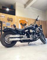 Harley-Davidson Slim - Harley-Davidson Motorräder in Köln