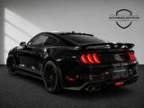 Ford MUSTANG 3.7 - SHELBY OPTIK & GRAIL ANLAGE - Ford: Shelby
