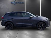 Cupra 