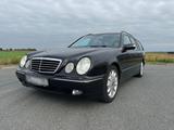 Mercedes-Benz Mercedes W210 E430 T Avantgarde Amg 7 Sitz... - Mercedes-Benz: Kombi, W210