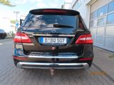 Mercedes-Benz ML 500 4MATIC - Vollaustattung - Mercedes-Benz ML 500 Gebrauchtwagen