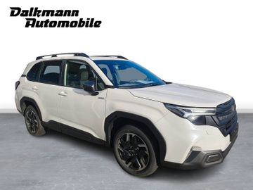 Bild 6 Subaru Forester 2.0ie e-BOXER Exclusive Lineart