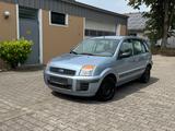 Ford Fusion Fun X 1.6 TDCI Klima 1-Hand 75.TKM - Ford Fusion mit Diesel-Antrieb