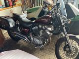 Yamaha Virago 535 - YAMAHA 1993 VIRAGO 535