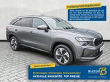 Skoda Kodiaq 1.5 TSI DSG Selection 7Si ACC Navi Memory - Skoda Kodiaq Tageszulassungen