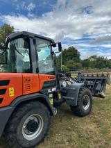 Schaeff TL 80 - Offers