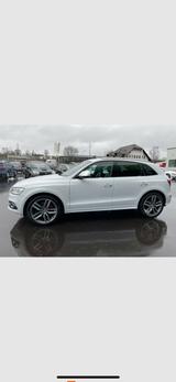 Audi SQ5 3.0 TDI tiptronic quattro - - Audi SQ5 in Bremen