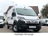 Fiat DUCATO NEW MODEL L4H2 MAXI 180 PS Kamera TÜV NEU - Fiat Ducato Jahreswagen