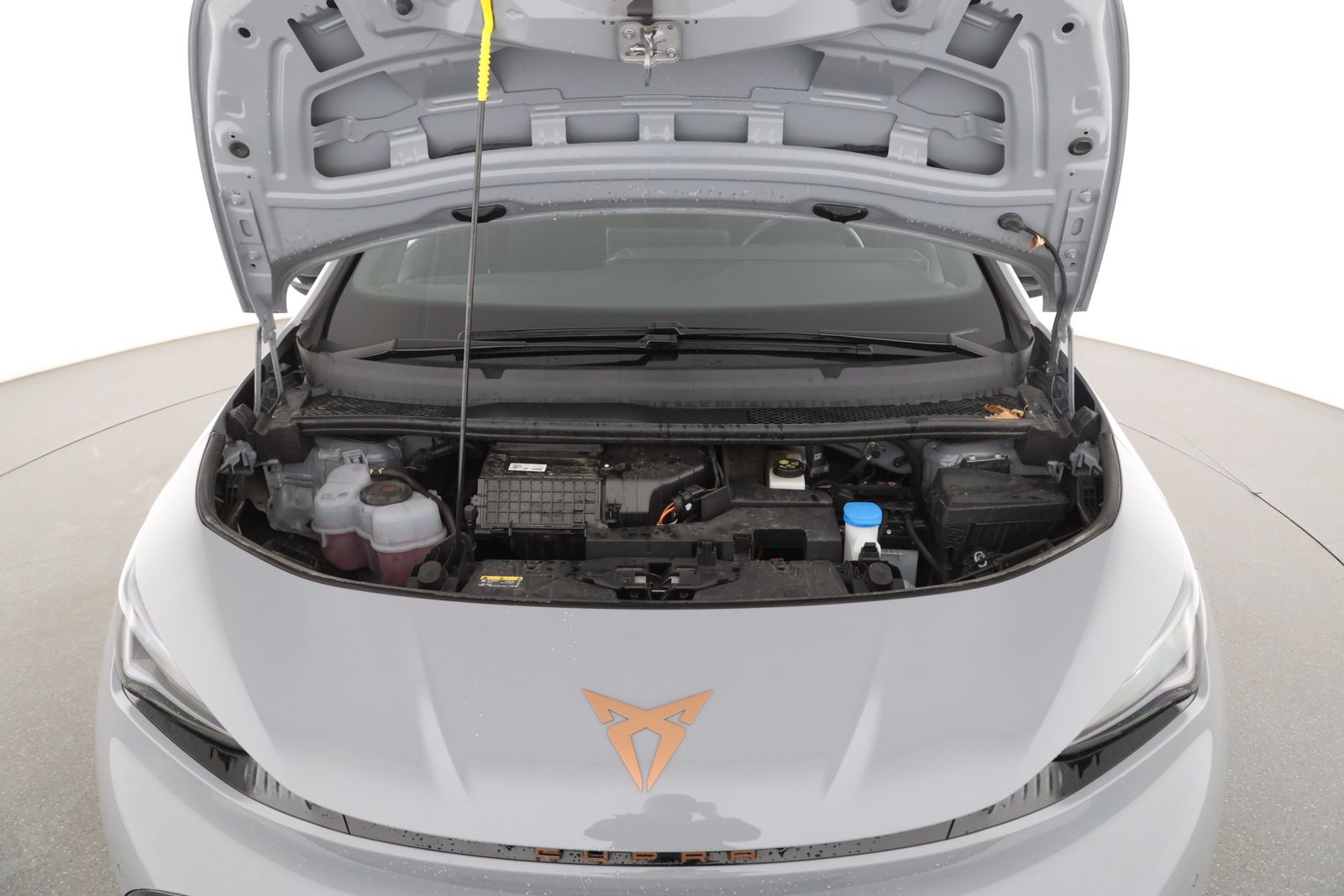 Cupra Born - Bild 12
