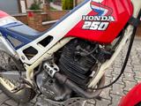 Honda RTL 250  - RENNSPORT VON 126 BIS 250 CCM