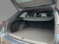 Cupra Leon - Vorschau Bild 6